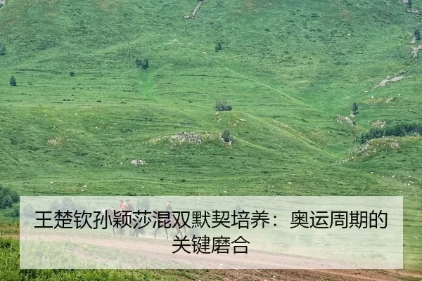 王楚钦孙颖莎混双默契培养：奥运周期的关键磨合
