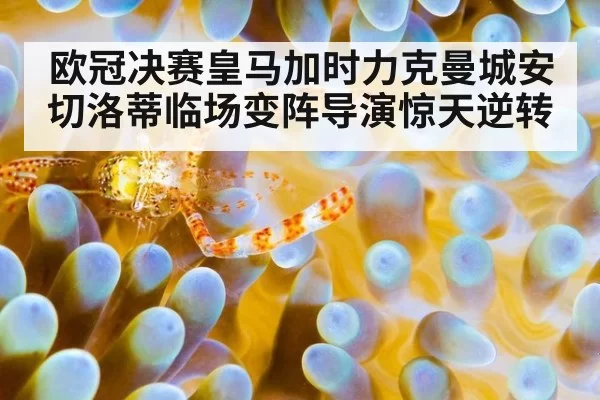 欧冠决赛皇马加时力克曼城安切洛蒂临场变阵导演惊天逆转