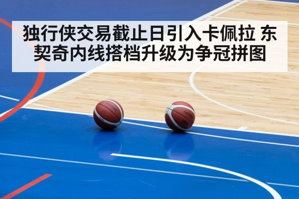 Dallas Mavericks basketball